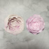 Peonia