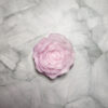 Peonia