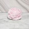 Peonia